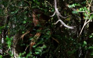 Lire la suite à propos de l’article SAM. 7/3 : KATE FLETCHER @Médiathèque Mémo