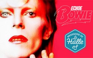 Lire la suite à propos de l’article vend. 1/12 : ECHOE BOWIE